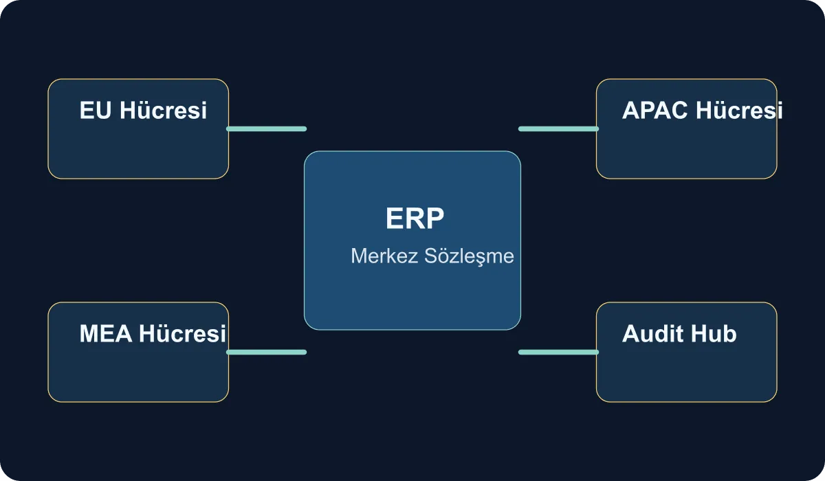 Technical schematic showing the regional integration cells architecture for ERP