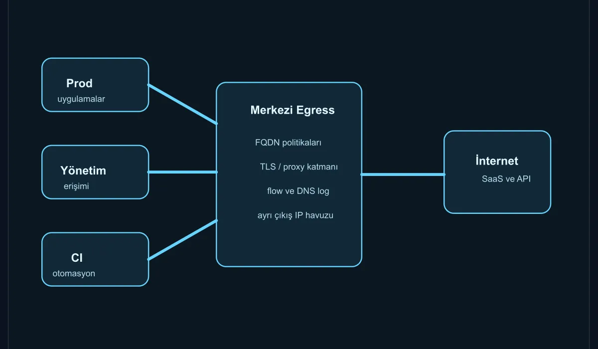 Schema showing the centralized egress architecture