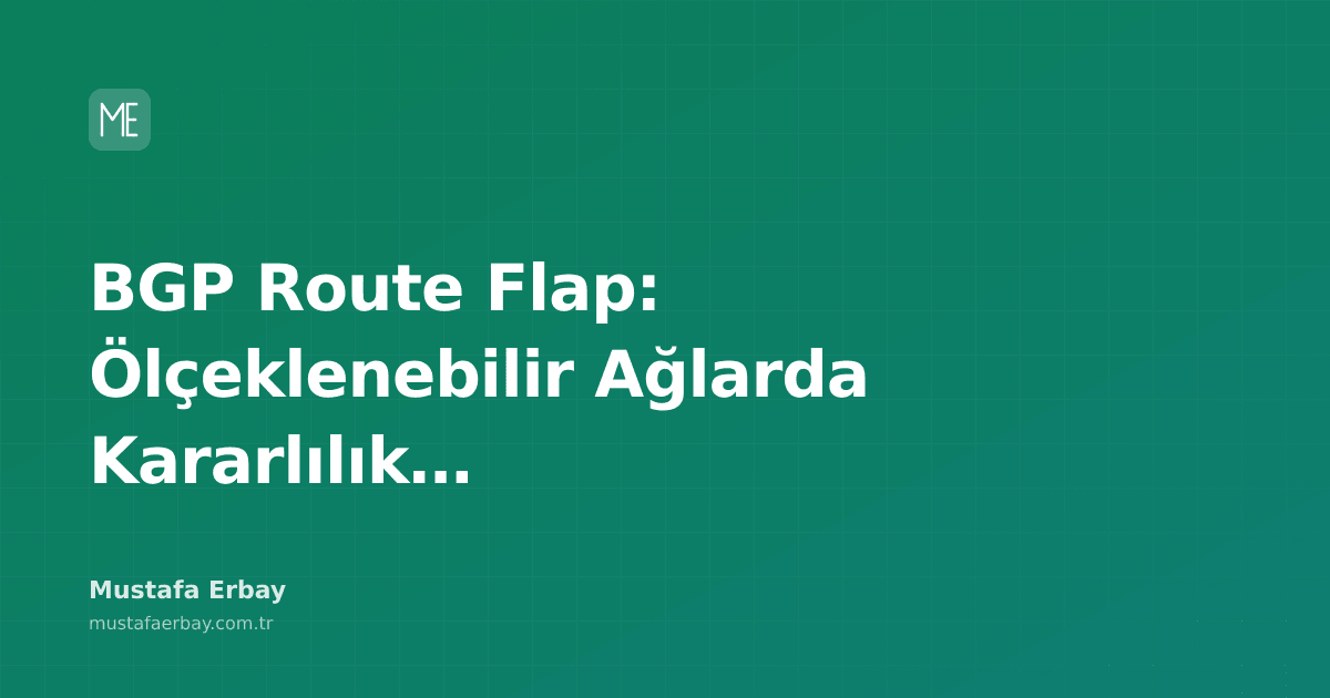 BGP yönlendirme tablolarını gösteren bir sunucu odasındaki ağ ekipmanları ve kabloların yakın çekim görüntüsü.