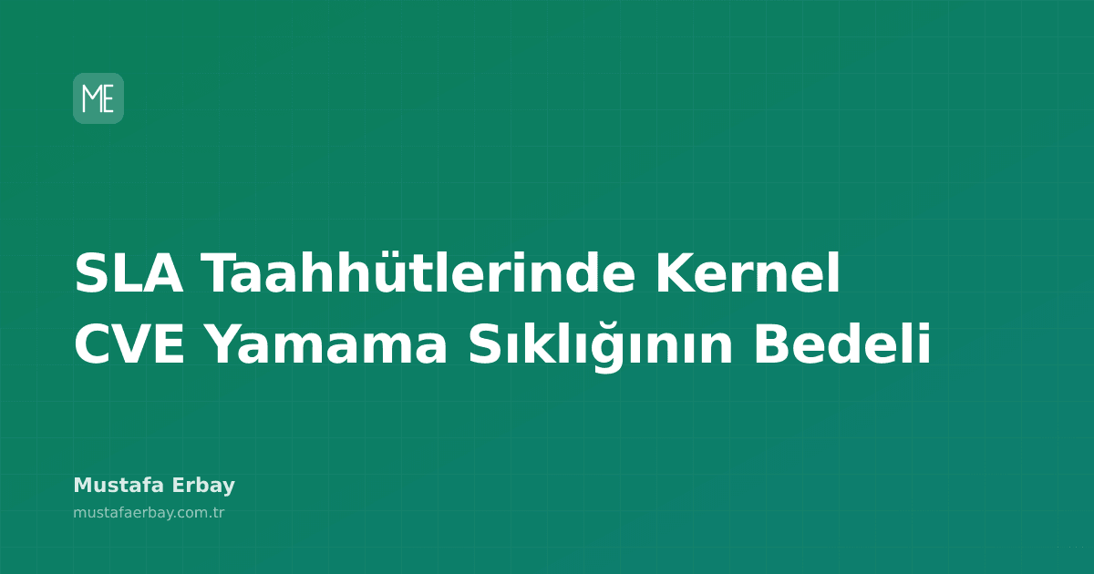 SLA taahhütleri ve kernel CVE yamama sıklığının maliyetini gösteren bir grafik.
