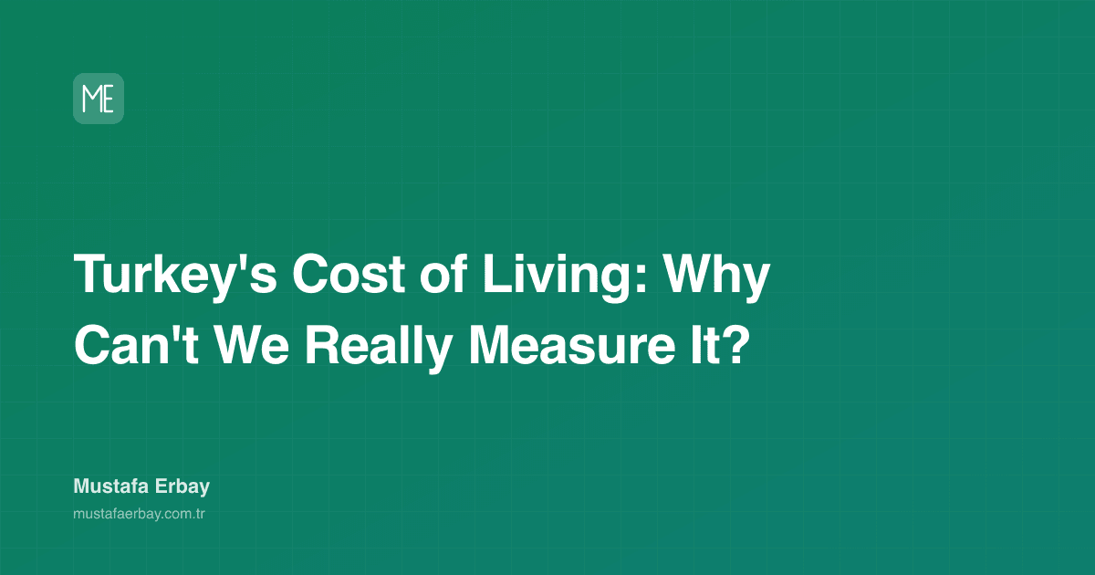 Turkey's Cost of Living: Why Can't We Really Measure It? — cover image