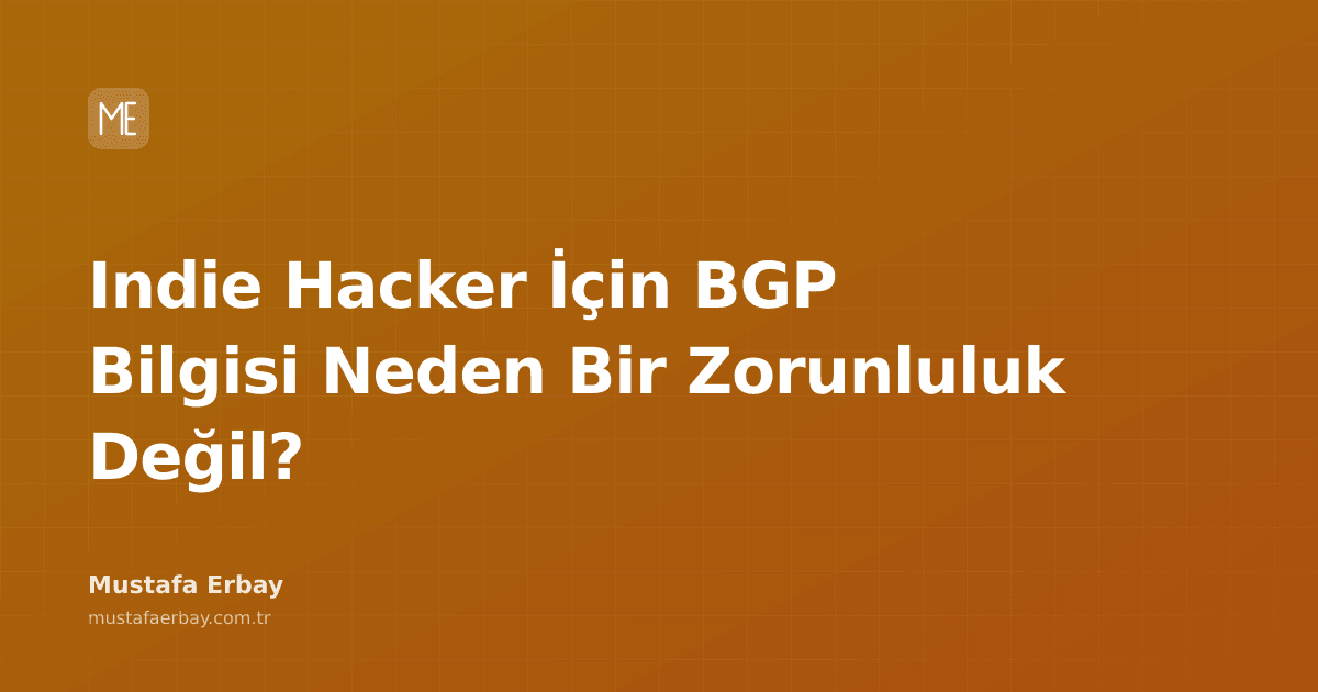 Bir şehir siluetinin üzerinde, karmaşık ağ kablolarını temsil eden stilize edilmiş hatlar.