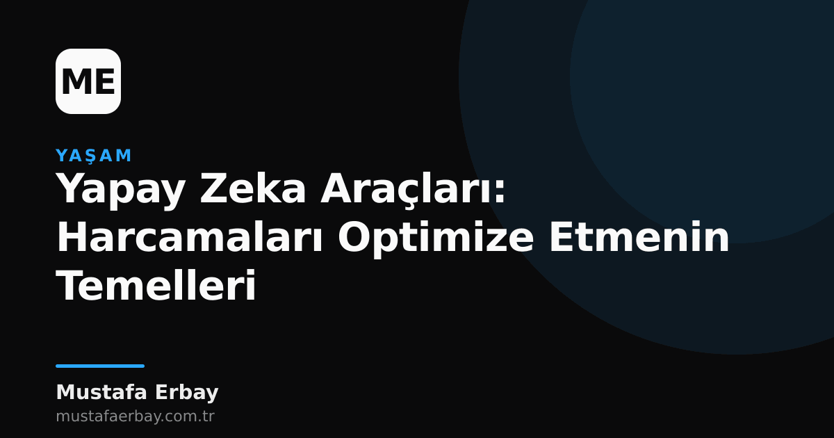 Bir kişinin bilgisayar başında yapay zeka araçlarının maliyet grafiklerini incelemesi