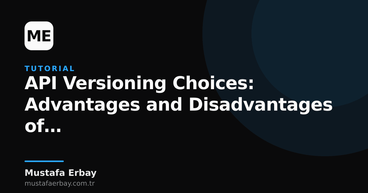 Diagram comparing different API versioning strategies