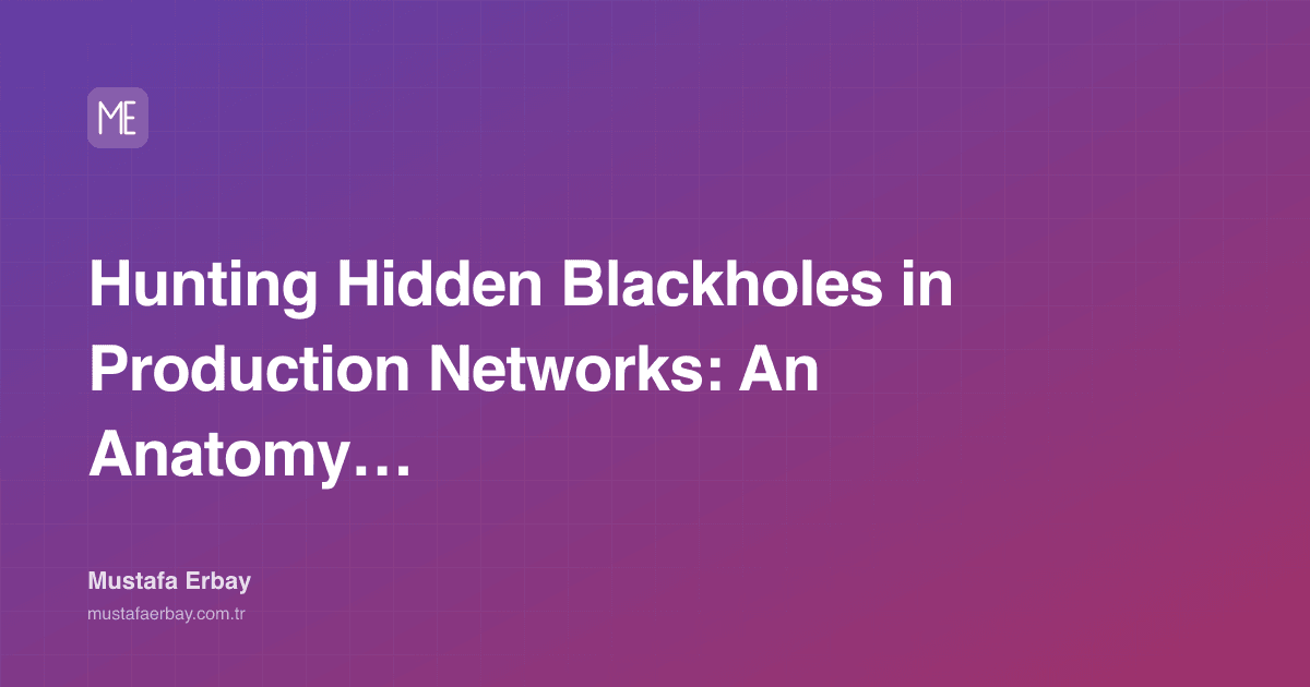 Hunting Hidden Blackholes in Production Networks: An Anatomy of… — cover image
