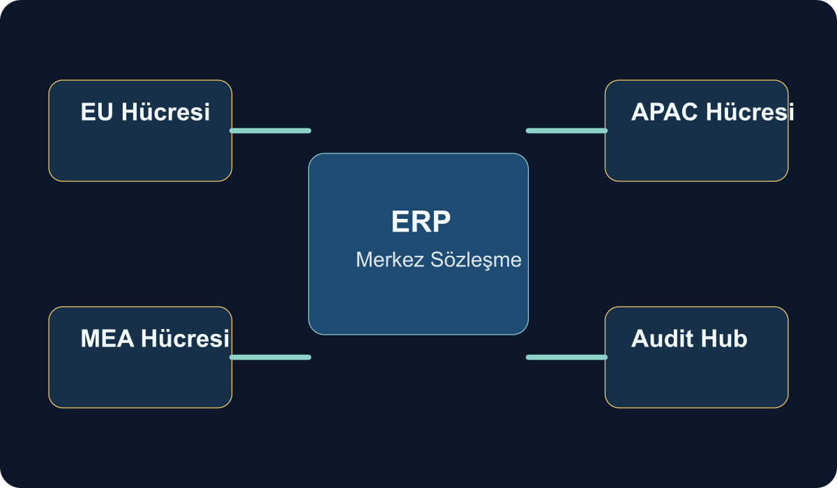 ERP bölgesel entegrasyon hücreleri mimarisini gösteren teknik şema