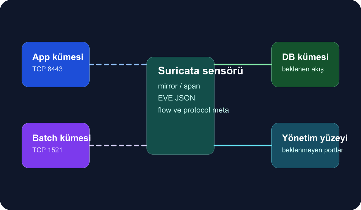 Suricata sensörü ve doğu-batı trafik akışlarını gösteren teknik şema